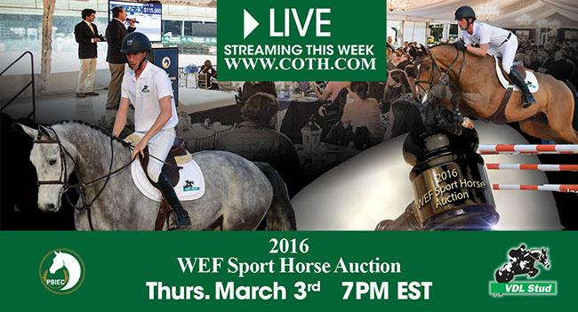 2016 Winter Equestrian Festival Sport Horse Auction to Begin Tonight