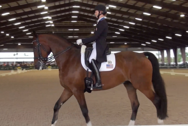 Watch Laura Graves and Verdades in the FEI Grand Prix CDIO 3* here!