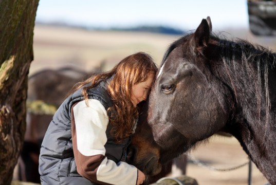 Denk immer über deine Arbeit mit den Pferden nach und mach dir Notizen. © shutterstock / Racorn