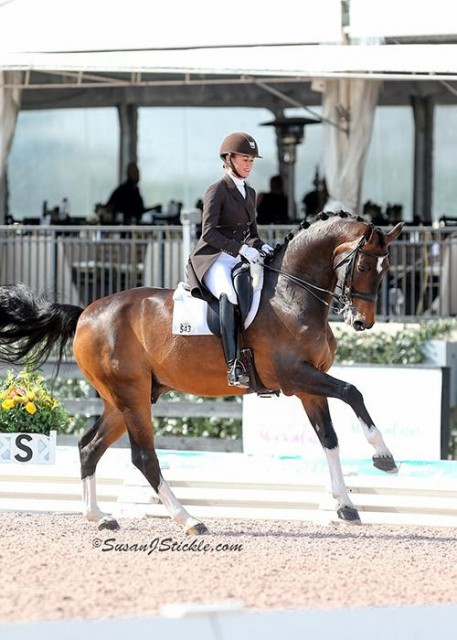 P.J. Rizvi and Breaking Dawn