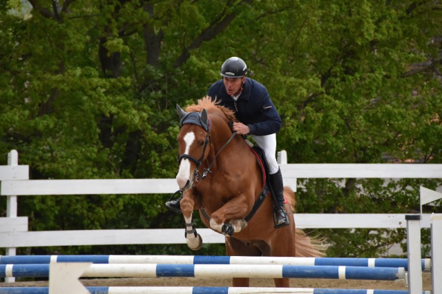 Souverän ließen Christian Schranz und Whisper von Lichten CH die Konkurrenz im Finalbewerb hinter sich. © NOEPS