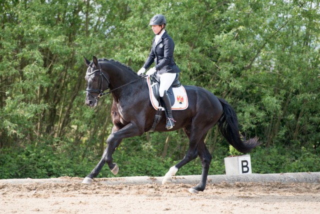 Martina Winter auf Boris Golden Star. © Sarah Braun