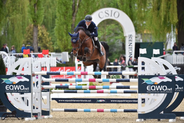 Max und Cielito Lindo in Linz. © sIBIL sLEJKO