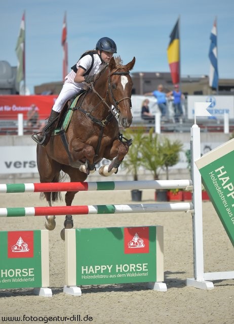 Rang zwei in der zweiten Happy Horse Nachwuchs Cup Qualifikation ging an Lena Binder (NÖ) und Imany VD Middelstede. © Fotoagentur Dill