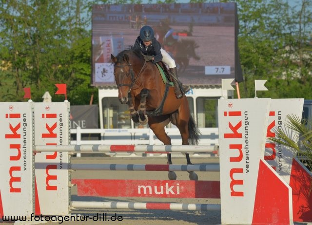 Der Sieg in der Qualifikation zum Happy Horse Nachwuchscup ging an Lena Binder (NÖ) und Lancelot TN. © Fotoagentur Dill
