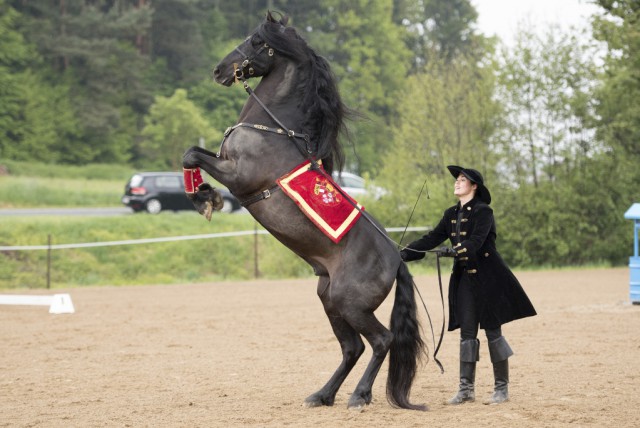 Corina Knittelfelder und Negro. © Sarah Braun 