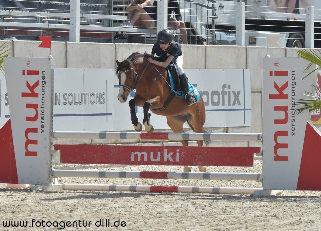 Das Ponyspringen über 90 cm beendeten Liana Dollberger (NÖ) und Sunshine H auf Rang drei. © Fotoagentur Dill