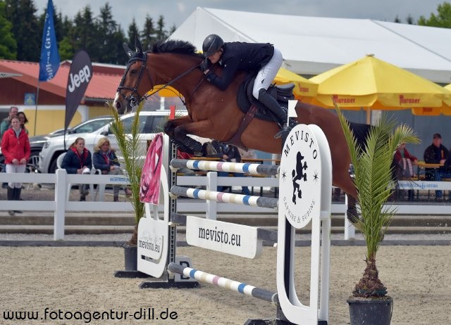 Mevisto Teamreiter Roland Englbrecht (OÖ) gewann mit Loki Doki die Qualifikation zum Casino Grand Prix powered by MUKI in Lamprechtshausen. © Fotoagentur Dill