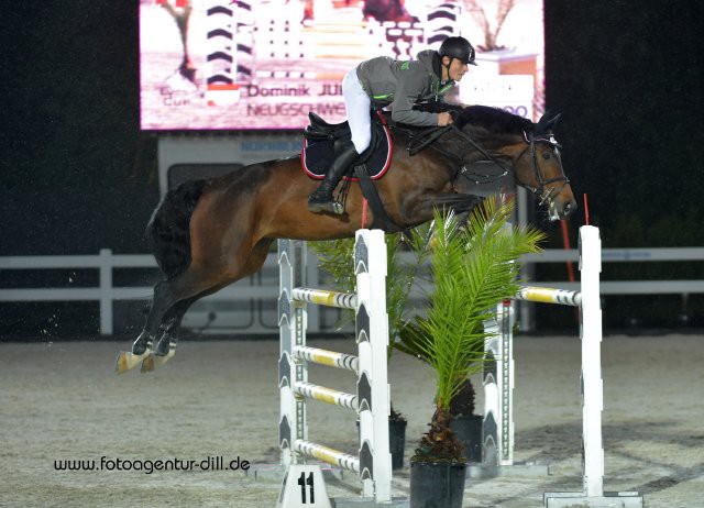 s.Oliver Teamreiter Dominik Juffinger (AUT/T) und Neugschwent's Lady Sandro punkteten auf Rang zehn im EY Cup Opening. © Fotoagentur Dill