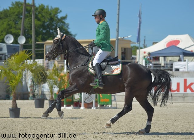 Grünrock Dieter Köfler war in Gorla Minore (ITA) äußerst erfolgreich: Platz vier und Platz sieben erreichte er mit seinen Pferden Askaban (im Bild) und Golden Gun. © Fotoagentur Dill / Archiv