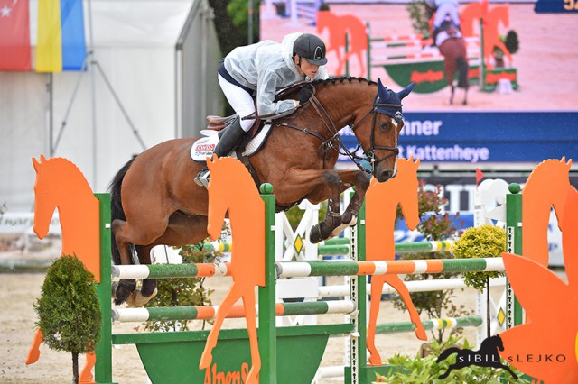 Jack van't Kattenheye glänzt unter Max Kühner in der Youngster Tour. © sIBIL sLEJKO