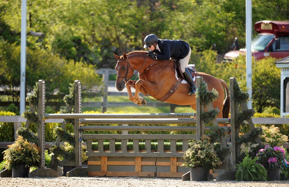 Louise Serio and Rock Harbor Capture Grand Hunter Championship at Old Salem Farm Spring Horse Shows