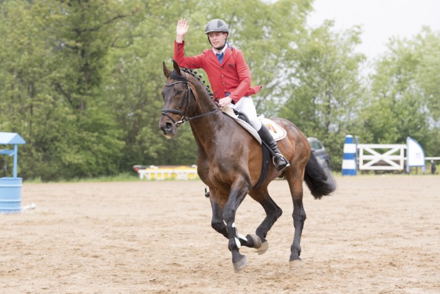 Der 22-jährige Hengst Alibi unter Manuel Winter. © Sarah Braun 