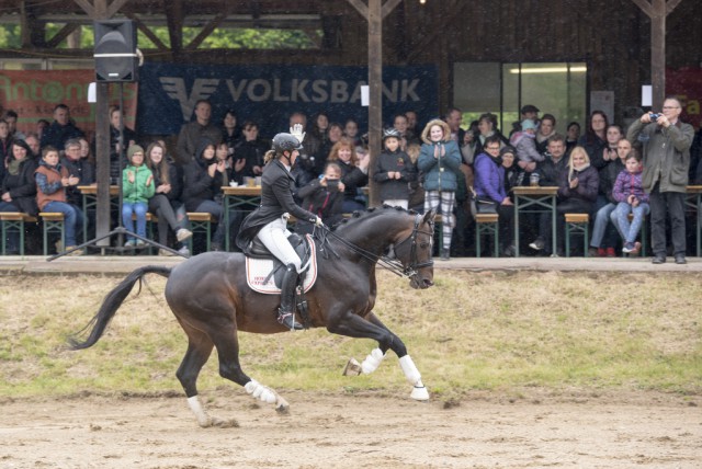 Martina Winter präsentierte den Deckhengst Boris Golden Pacer W. © Sarah Braun 