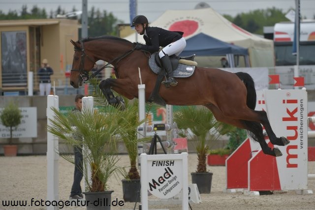 Kathrin Pfingstl (St), hier im Bild auf Vladimir S, holte Rang zwei in der EQUIVA Cup Qualifikation. © Fotoagentur Dill