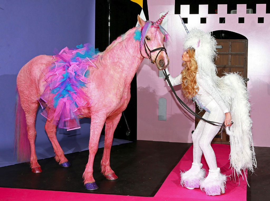 Алиса лошадка. Лошадка розовый. Лошадь розовый фотосессия. Лошадь розового цвета. Лошадки бывают розовые.