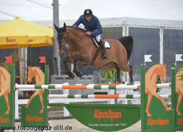 Mit Daniel Sonnberger im Sattel sprang Thekla 22 zum zweiten Rang in der Jungpferdespringprüfung über 1.25 m. © Fotoagentur Dill