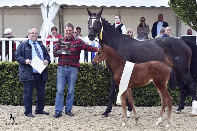 Der DLZ-Geschäftsführer Urs Schweizer (li.) gratuliert dem Züchter der Lodbergenchampioness von For Romance-De Niro, Jürgen de Baey (re.) © Tanja Becker