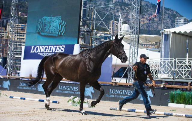 Jumping International of Monte-Carlo - Equestrian Worldwide | Pferdesport  weltweit | EQWO.net