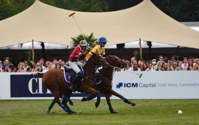 Polo_ChestertonsPolo_cChestertonsPolo4