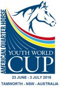 ywc_logo_2016_large