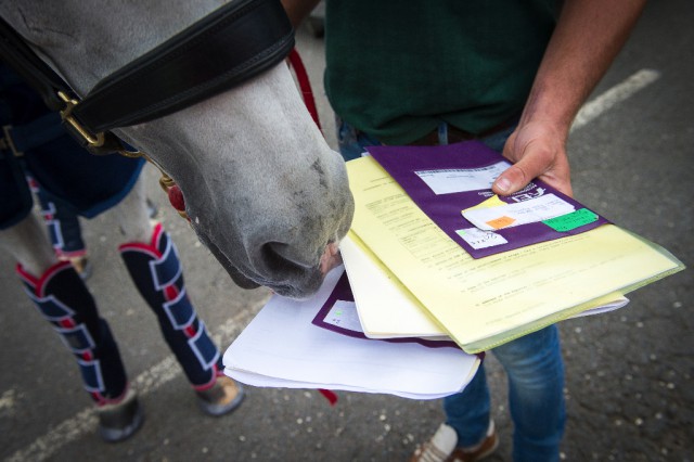 Every horse heading out to the Rio 2016 Olympic Games travels with its own passport. © Pic Jon Stroud