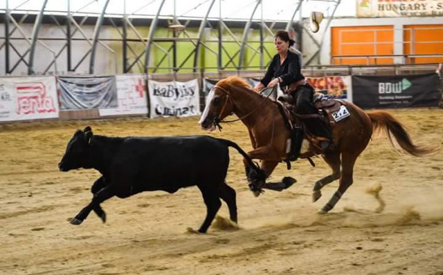 Kornelia Böröcz und Dunnit Cowboy Star. © Stefan Böröcz / Facebook