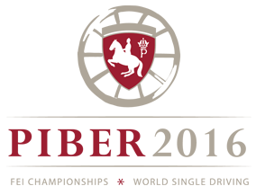 Logo_piber2016