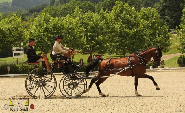 Staatsmeisterin der Einspänner Marisa Rössler und Bolino D. © Hippoevent/Facebook