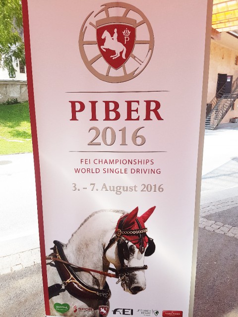 Die WM in Piber 2016 hat nicht nur für den österreichischen Pferdesport, sondern auch den Tourismus eine große Bedeutung. © EQWO.net