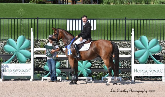 Sharn Wordley and Famoso D Ive Z in their presentation ceremony accompanied by groom Luis Abraham. © Liz Crawley Photography