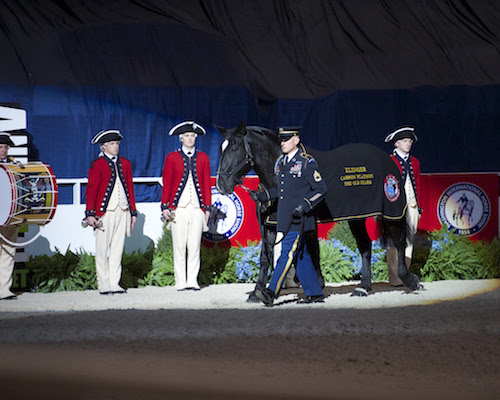 The Klinger Perpetual Award for Honor & Service is named for Klinger, a special horse who has touched the lives of many in his life of service with the 3rd U.S. Infantry Regiment (The Old Guard) Caisson Platoon. © Alden Corrigan Photography.