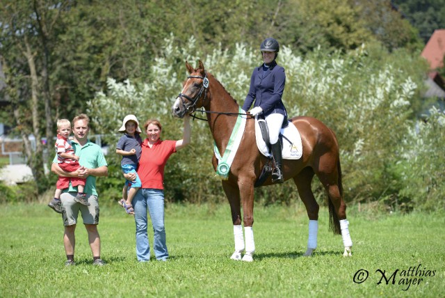 Wonderfull (Quaterhall x Western Star) gewann mit 8,0 die Wertung der vierjährigen Pferde im Reitpferdechampionat. Matthias Mayer