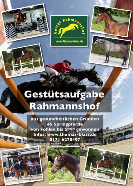 Rahmannshof_Gestuetsaufloesung