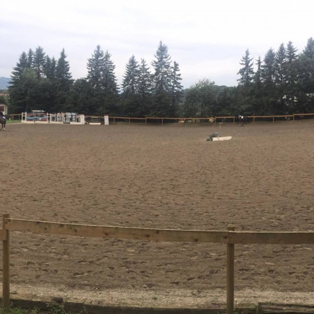 Gemütliches Abreiten war sogar bei über 500 Starts am Wochenende kein Problem. © horse-events.at