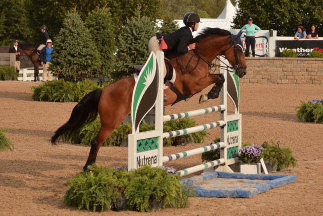 Louisa Brackett and Memphis Belle galloped to second place in the Low Junior Jumpers. © Chicago Equestrian