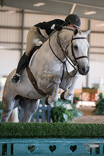 Carly Campbell-Cooper of Waterloo, ON, won the $3,000 Canadian Hunter Derby riding California for owner Meghan McDonald on Saturday, September 24, at the CSI2* Canadian Show Jumping Tournament. © Ben Radvanyi Photography