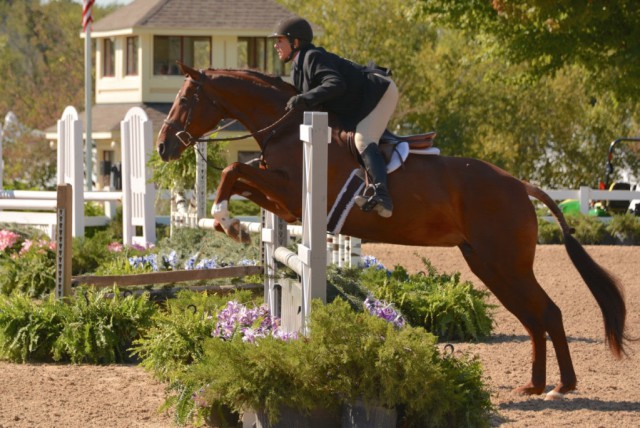 Lorrie Canady and Salina K took second in the USHJA National Hunter Derby. © Chicago Equestrian