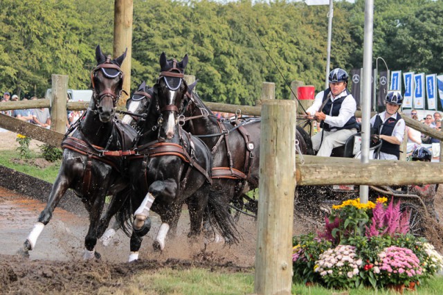 Boyd Exell (AUS) won all three phases of the FEI World Four-in-Hand Driving Championship in Breda (NED), including the demanding marathon © FEI / Krisztina Horváth