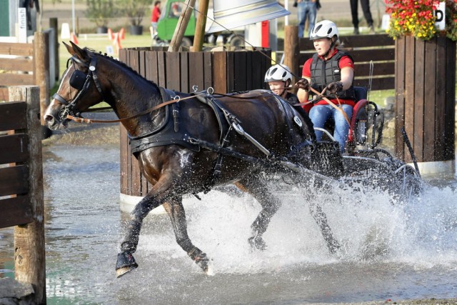 Anika Geiger (GER) was the runner-up in the marathon of the Young Drivers Single Horse class and won gold thanks to her dressage victory and good cones round © FEI/dr. Jürgen Schwarzl