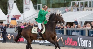 The Sixth Sense ist eines der erfolgreichsten Pferde Österreichs. Unter Thomas Frühmann (AUT) gewann er acht Große Preise und etliche Weltcup-Springen. © Michael Graf