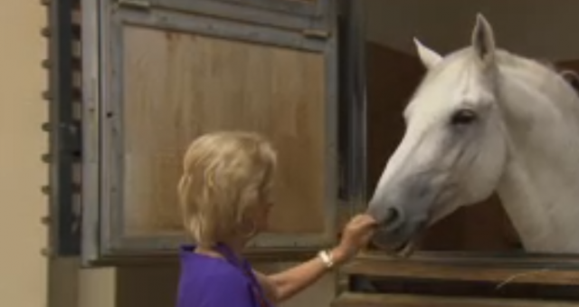 Elisabeth Gürtler hat sich schon früh für ein Leben mit Pferden entschieden. © Bericht ORF.at