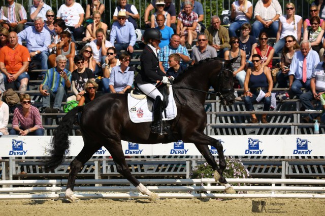True Love OLD unter der Reiterin Wiebke Hartmann-Stommel siegte in der Klasse der dreijährigen Dressurpferde. © happyhippo