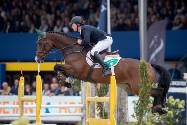 Ireland’s Gerard O’Neill and the Irish Sport Horse Killossery Kaiden produced the only double-clear in today’s final competition to win the 6-Year-Old title at the FEI World Breeding Jumping Championships for Young Horses 2016 at Lanaken, Belgium. © Hippo Foto – Dirk Caremans