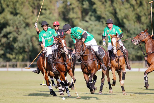 In Action! © Pololine Inc.