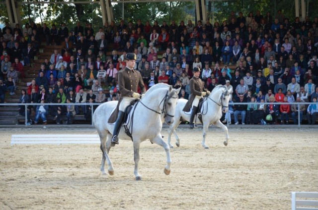 Die Herbstparade findet am 17.09.2016 statt. © Spanische Hofreitschule – Bundesgestüt Piber GöR