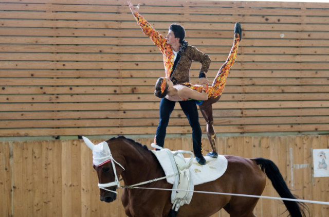 Das Erfolgsduo Lindner/Wacha mit ihrem Pferd Dr. Doolittle © Andreas Filzwieser