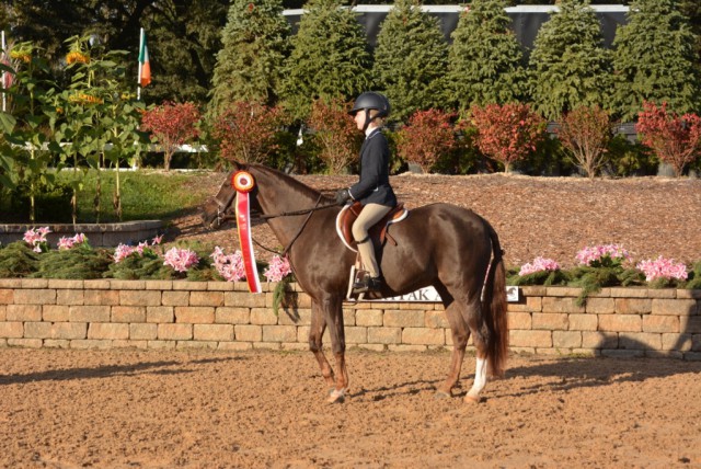  IHJA Pony Medal Reserve Champion Chloe Watrous © Chicago Equestrian