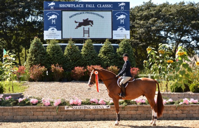 IHJA Adult Medal Reserve Champion Meredith Wegbreit. © Chicago Equestrian