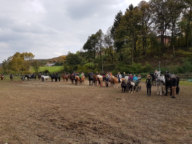 Zahlreiche Gespanne und Reiter fanden sich imReitstall Hofbauer ein um das Brauchtum der Pferdesegnung gemeinsam zu leben und erleben. © EQWO.net /BB